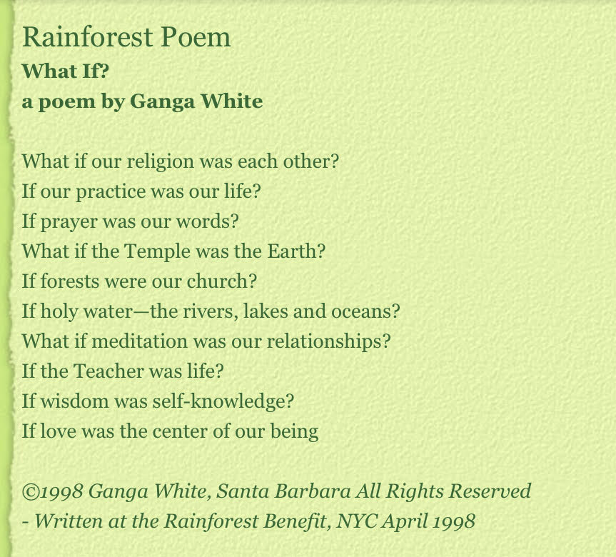 rainforest-poem
